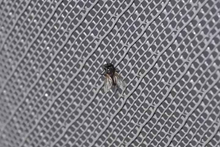 plastic wire mesh manufacturers in kolkata plastic wire mesh manufacturers in kolkata