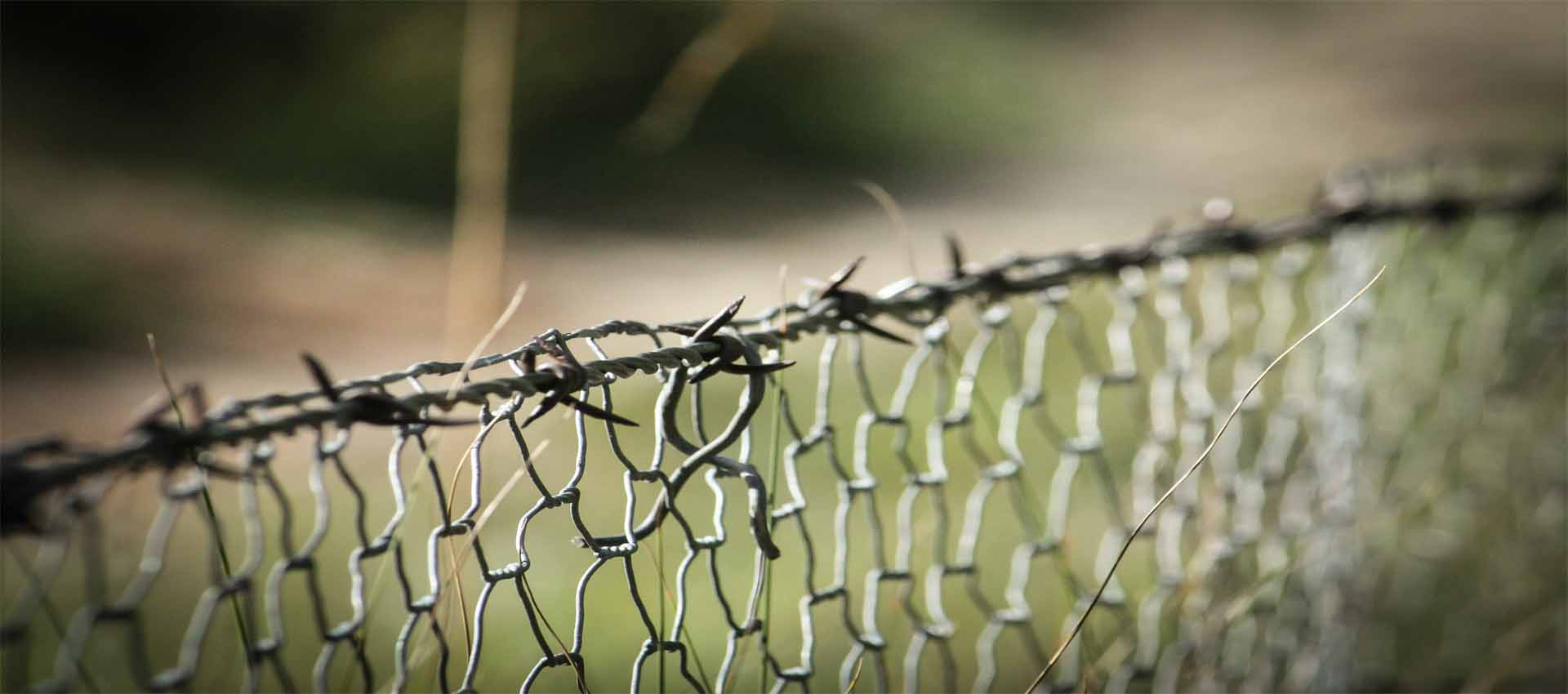 Stainless Steel Welded Wire Mesh in Kolkata