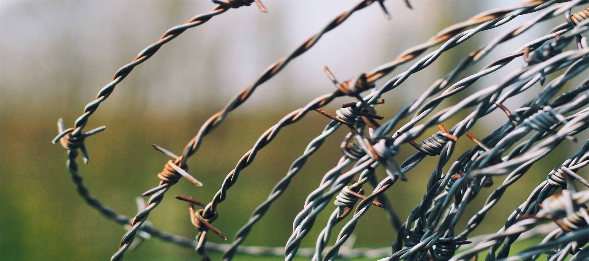 Stainless Steel Welded Wire Mesh in Kolkata