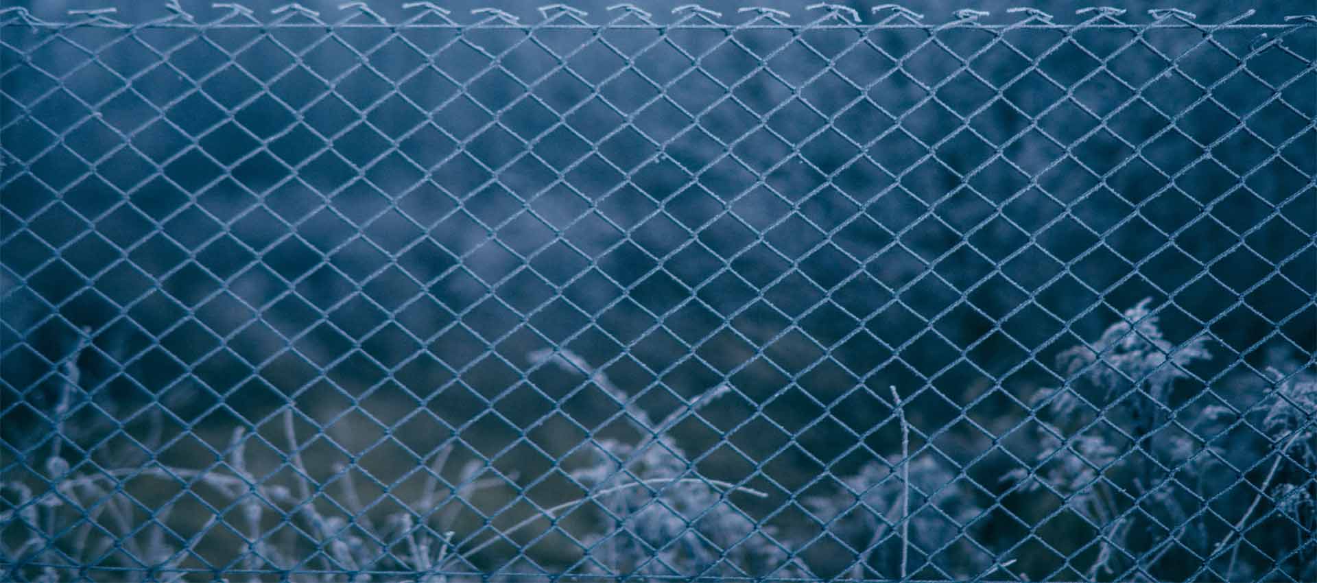 Stainless Steel Welded Wire Mesh in Kolkata