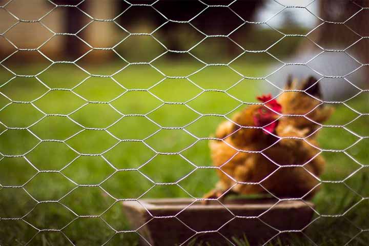 Stainless Steel Welded Wire Mesh in Kolkata