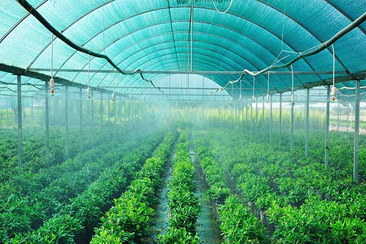 Stainless Steel Welded Wire Mesh in Kolkata