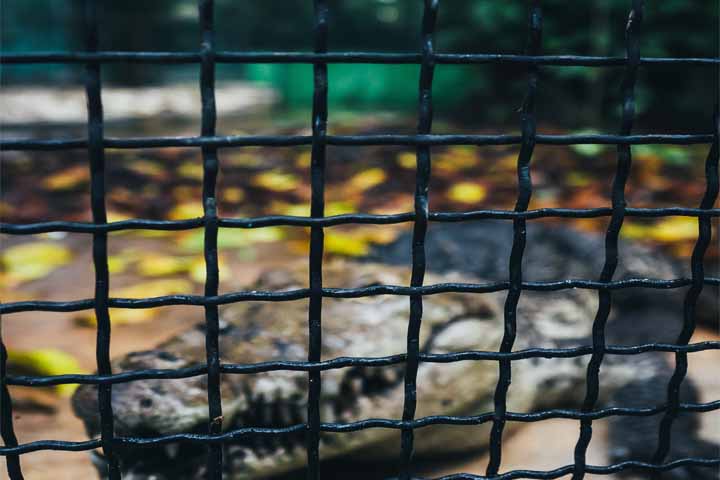 Stainless Steel Welded Wire Mesh in Kolkata